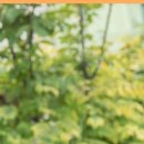 맘스외과성형외과의원 이미지