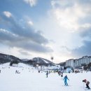 용평리조트 이미지