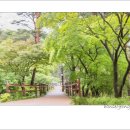 청남대 다중촬영(1)-05.10. 이미지