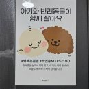 바른몸애 대구수성점 이미지