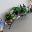 미미화분
