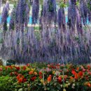 종원목장 이미지