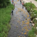 행복오리 이미지