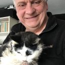 젬마동물병원 이미지