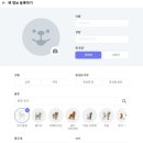 고로고로펫 이미지