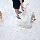 개스트룸 이미지