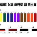 경희대 국가대표 형제 태권도 이미지