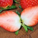 유청농장 이미지