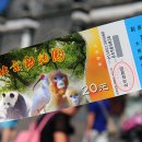 베이징최고야 이미지