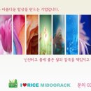 수원-0997 네이버블로그