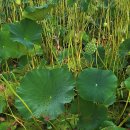 연자농장 이미지