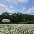 지새울베이커리 | 아산 아이랑 가볼 만한 곳 장영실과학관 갔다가 들린 카페 지새울 솔직후기