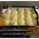 도림농장 이미지