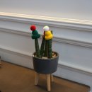 망경 마롱 이미지