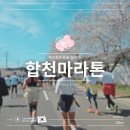 진화건장(주) | 백리벚꽃길을 달리다, 합천 벚꽃 마라톤 참가 후기
