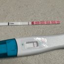 3. 2024년 연말 마지막 자연임신 노력(한약후기, 운동, 영양제)