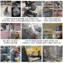 부석-비상-1 이미지