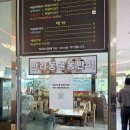박대박 | [전남/담양] 담양 국수거리 맛집 애견동반 '박대박메밀' 내돈내산 후기