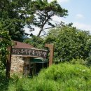 하천섬(솔밭) 이미지