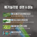 안클린 이미지