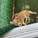 딱봐도맛집 이미지