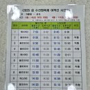 [축제/전남/신안] 2025년 신안군 &#39;수선화 축제&#39; 첫 날 방문 후기(꿀팁)
