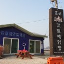 대부관광농원 오캠핑 이미지