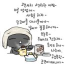 어두컴컴 Daum카페