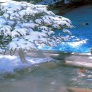 천연누리 이미지