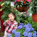 가현농장 이미지