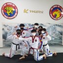 국가대표 기백 태권도 이미지