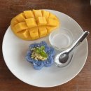 수코타이아시아마트 | 리쑤환 여행기(1) <Intro>