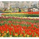 베르사유 모텔 | 서울 근교 봄나들이! 경기도 꽃축제 유명한곳 BEST 5 (주소, 주차팁 포함) 🌸