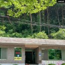 충남신발상회 | 천안 아산 강당골계곡 도심 속 천연 에어컨 여름계곡 # 창원식당 강당골계곡 보양식 챙기고 편하게 계곡...