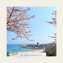 아야진작은집 이미지