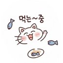 🥢 [예산시장 맛집] 잡내 ZERO! 설 연휴에 다녀온 삽교 곱창거리 '곱창인가' 솔직 후기 🥢