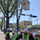 두류공원로 이미지