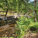 봉미산 계곡 예당 이미지