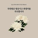 해랑경희태권도 이미지