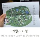 동양상회 | 제주 동백꽃 동백수목원 카멜리아힐 방문후기