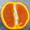 럭키(아) | 프룻대디 9900원 럭키박스 가성비 최고 과일 랜덤박스