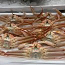 해성수산 이미지