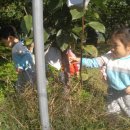 수곡농원 이미지