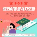 밴쿠버 토론토 직항 타시는 이동봉사자분 구합니다 이미지