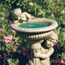 새들의 정원 이미지