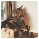 정훈동물병원 이미지