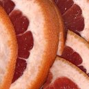 도라(Dora) 이미지