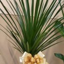 연세퍼스트구강내과치과의원 이미지