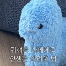 경희대학교 아트퓨전디자인대학원 이미지