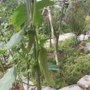 자연과 함께하는 하룻밤 이미지